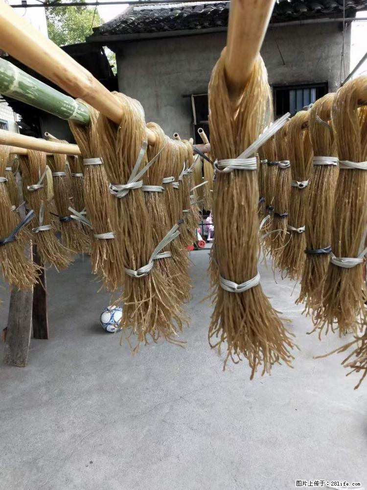 【灌阳正宗红薯粉】美女家里自己做的，干净卫生，假一赔十，价格合理，抢购电话：13737312895 - 美食天地 - 临夏生活社区 - 临夏28生活网 linxia.28life.net