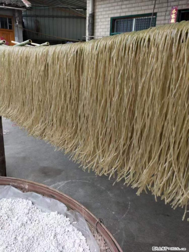 【灌阳正宗红薯粉】美女家里自己做的，干净卫生，假一赔十，价格合理，抢购电话：13737312895 - 美食天地 - 临夏生活社区 - 临夏28生活网 linxia.28life.net