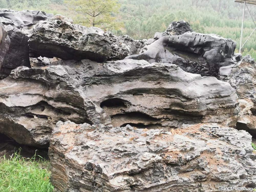 风景石、假山石大量有货，有需要的欢迎联系 - 新手上路 - 临夏生活社区 - 临夏28生活网 linxia.28life.net