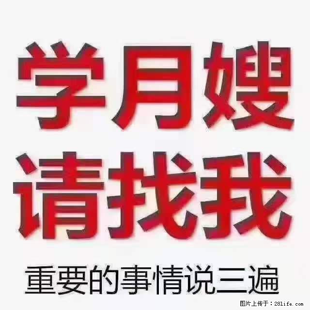 为什么要学习月嫂，育婴师？ - 其他广告 - 广告专区 - 临夏分类信息 - 临夏28生活网 linxia.28life.net