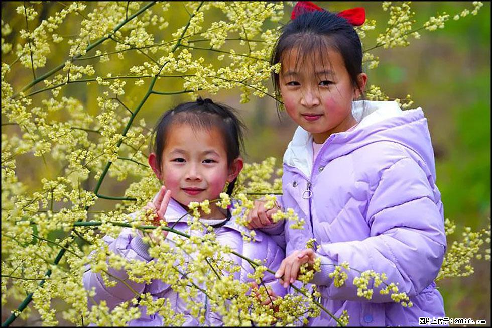 【春天，广西桂林灌阳县向您发出邀请！】米珠山前有片山苍子花在飘香 - 游山玩水 - 临夏生活社区 - 临夏28生活网 linxia.28life.net