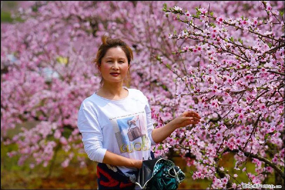 【春天，广西桂林灌阳县向您发出邀请！】官庄村有个醉美的桃花园 - 游山玩水 - 临夏生活社区 - 临夏28生活网 linxia.28life.net