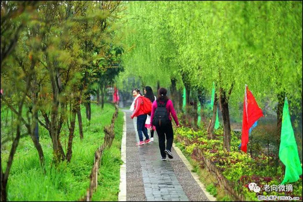 【春天，广西桂林灌阳县向您发出邀请！】江口老街又逢春 - 游山玩水 - 临夏生活社区 - 临夏28生活网 linxia.28life.net