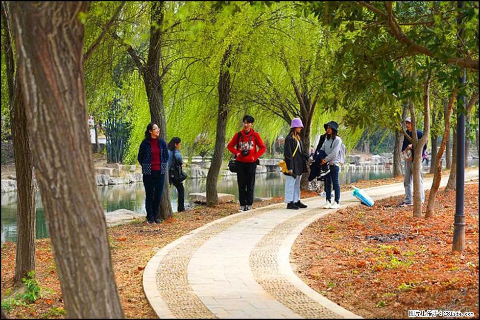 【春天，广西桂林灌阳县向您发出邀请！】江口老街又逢春 - 游山玩水 - 临夏生活社区 - 临夏28生活网 linxia.28life.net