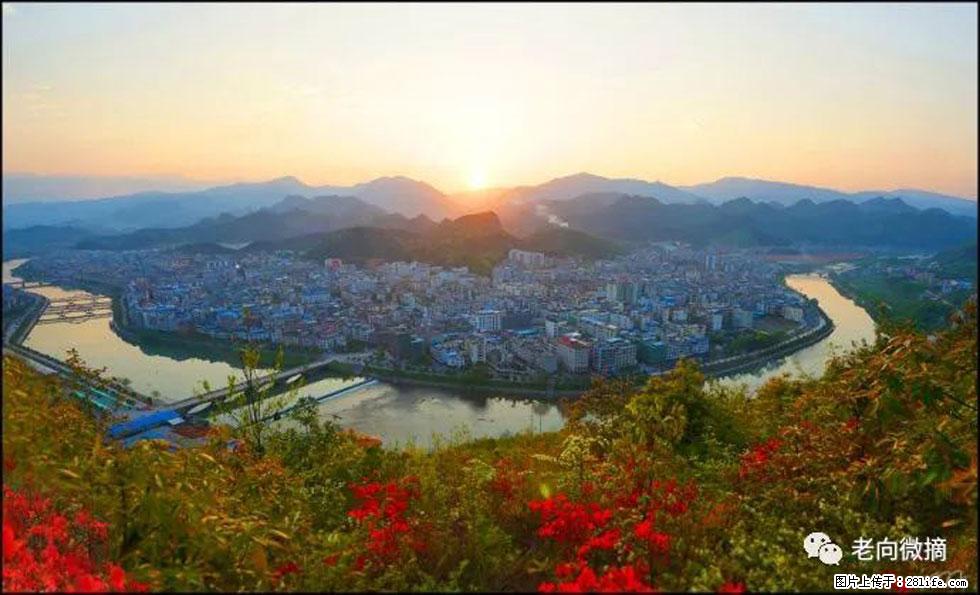 【春天，广西桂林灌阳县向您发出邀请！】登麒麟山，相约映山红 - 游山玩水 - 临夏生活社区 - 临夏28生活网 linxia.28life.net