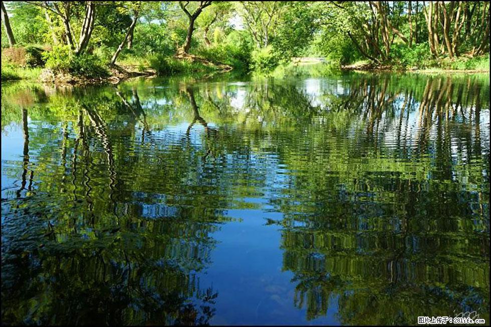 【春天，广西桂林灌阳县向您发出邀请！】熊家寨湿地公园 - 游山玩水 - 临夏生活社区 - 临夏28生活网 linxia.28life.net