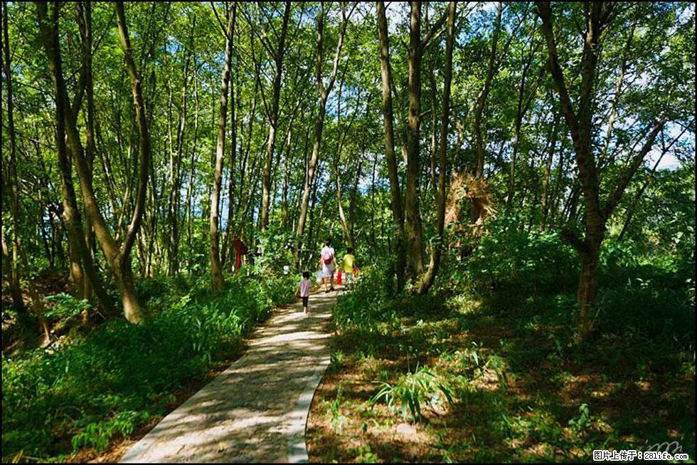 【春天，广西桂林灌阳县向您发出邀请！】熊家寨湿地公园 - 游山玩水 - 临夏生活社区 - 临夏28生活网 linxia.28life.net