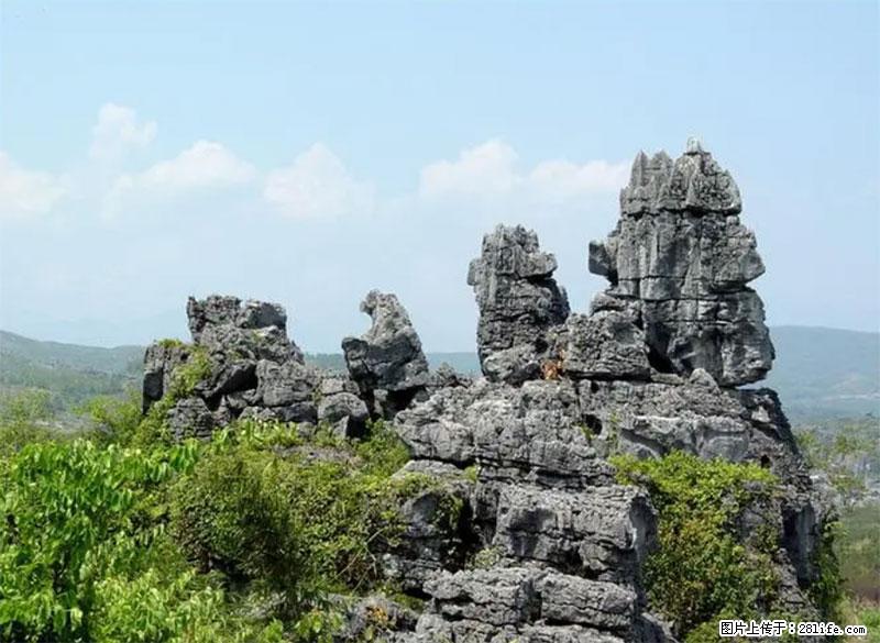 桂林旅游名城景点:灌阳文市石林 - 游山玩水 - 临夏生活社区 - 临夏28生活网 linxia.28life.net