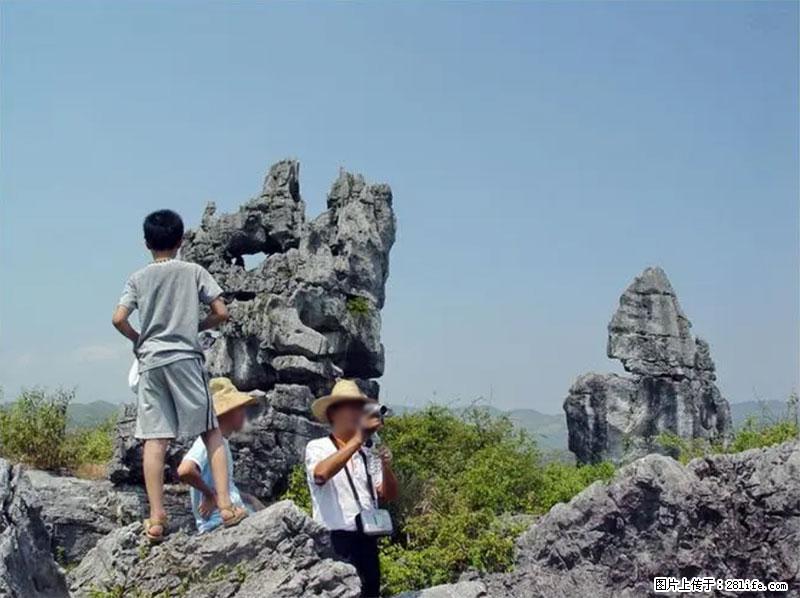 桂林旅游名城景点:灌阳文市石林 - 游山玩水 - 临夏生活社区 - 临夏28生活网 linxia.28life.net