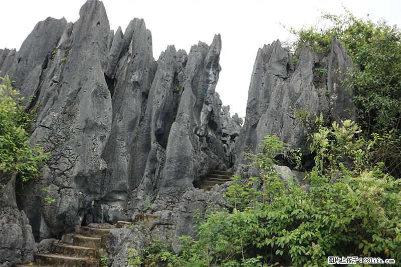 桂林旅游名城景点:灌阳文市石林 - 游山玩水 - 临夏生活社区 - 临夏28生活网 linxia.28life.net