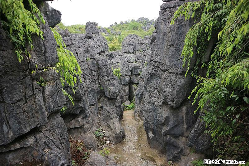 桂林旅游名城景点:灌阳文市石林 - 游山玩水 - 临夏生活社区 - 临夏28生活网 linxia.28life.net