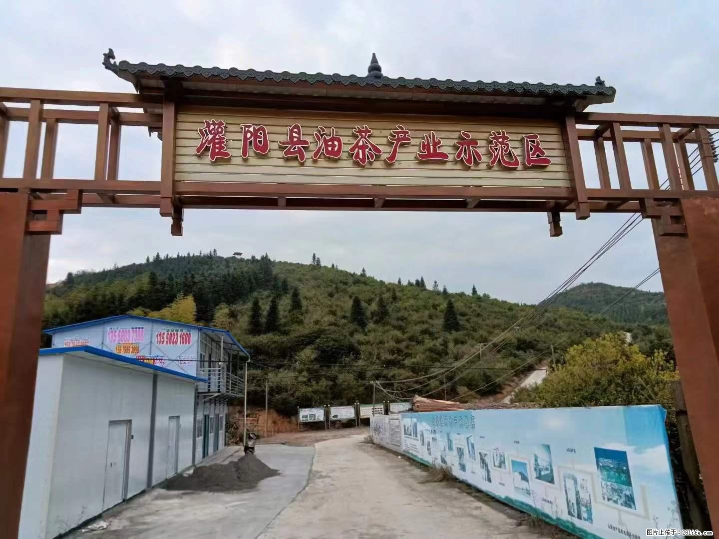 【灌阳县油茶产业示范区】一个有着充实的精神生活的人，对待身外之物自会有一种淡泊的态度 - 美食天地 - 临夏生活社区 - 临夏28生活网 linxia.28life.net
