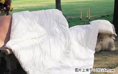 被子有异味？只要这样做，比晒太阳还强100倍！ - 家居生活 - 临夏生活社区 - 临夏28生活网 linxia.28life.net