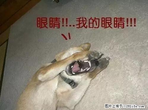 笑癫了!一女的怀孕三年未生,他终于忍不住了... - 娱乐八卦 - 临夏生活社区 - 临夏28生活网 linxia.28life.net