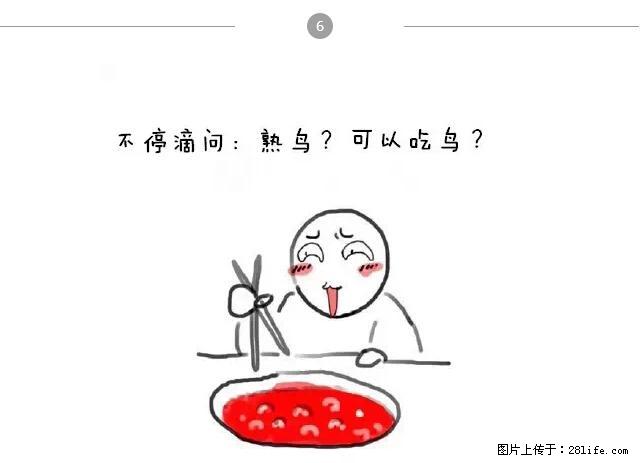 千万不要和这9种哈卵一起吃火锅！ - 美食天地 - 临夏生活社区 - 临夏28生活网 linxia.28life.net