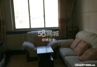 小什字3楼80平木地板带家俱 2室1厅1卫 - 临夏28生活网 linxia.28life.net