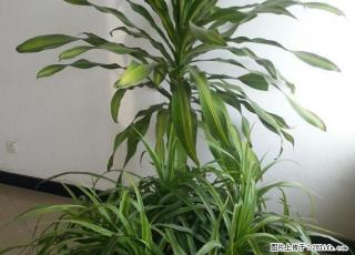 临夏市陈芳花园 3室2厅132平米 简单装修 半年付 - 临夏28生活网 linxia.28life.net