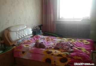 小什字 2室1厅1卫 - 临夏28生活网 linxia.28life.net