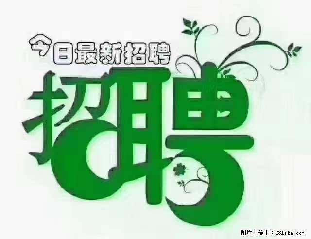【招聘摄像师】待遇：试用期6000元/月，转正7000元/月+五险一金+餐补+节日福利+奖金 - 职场交流 - 临夏生活社区 - 临夏28生活网 linxia.28life.net
