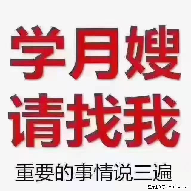 【招聘】月嫂，上海徐汇区 - 职场交流 - 临夏生活社区 - 临夏28生活网 linxia.28life.net