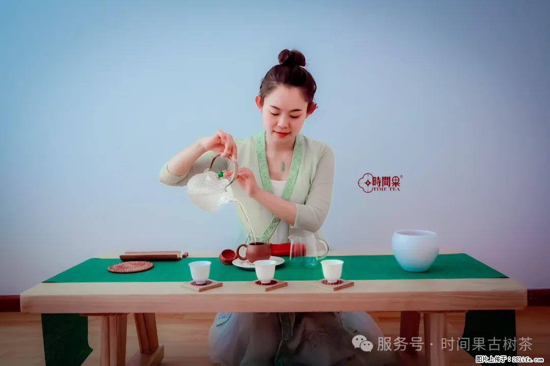 时间果百年古树龙珠普洱生茶 - 购物交流 - 临夏生活社区 - 临夏28生活网 linxia.28life.net