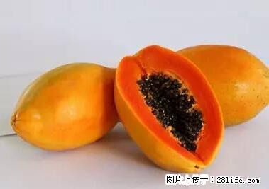 晕车、脚气、牙齿变黄、皮肤粗糙？学会这些三分钟搞定！ - 临夏生活资讯 - 临夏28生活网 linxia.28life.net