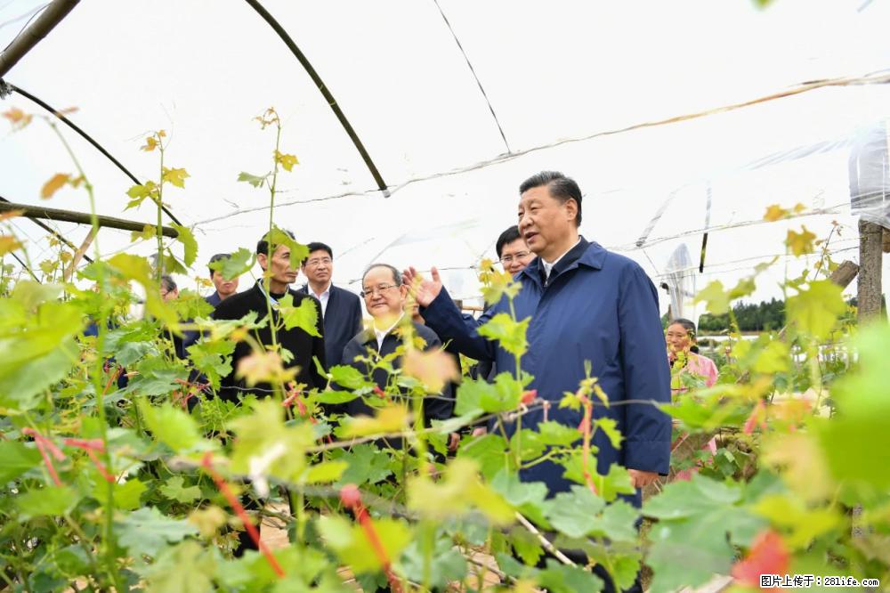 习近平赴广西考察调研 - 临夏生活资讯 - 临夏28生活网 linxia.28life.net