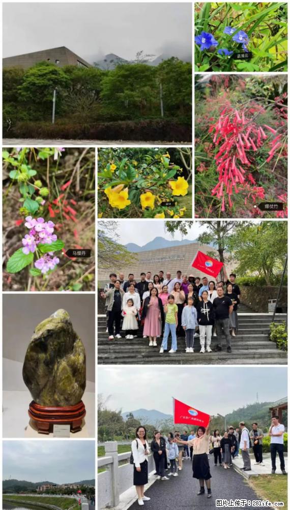“粤灌文化 美好生活”油茶文化主题活动在广东深圳成功举办 - 临夏生活资讯 - 临夏28生活网 linxia.28life.net