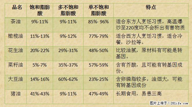 揭秘茶油的5大核心营养成分！被称为人体健康的“守护盾”！ - 临夏生活资讯 - 临夏28生活网 linxia.28life.net