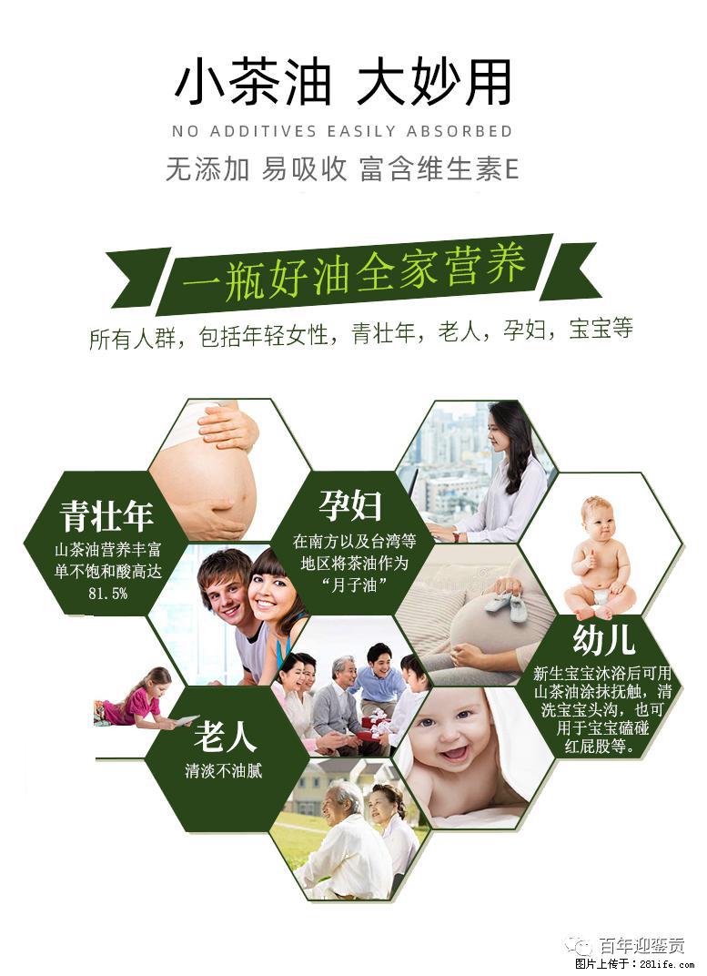 世界没有真相，只有认知，最好的食用油是中国的山茶油！ - 临夏生活资讯 - 临夏28生活网 linxia.28life.net