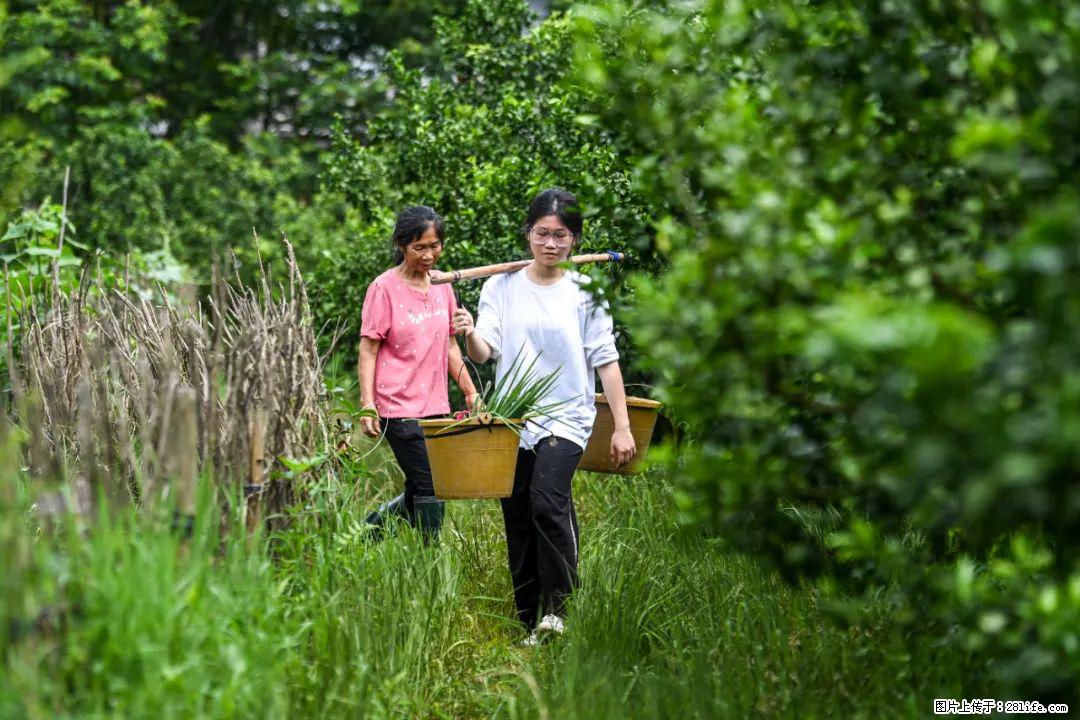全网追的“扁担女孩”，找了一份暑假工，时薪12元 - 临夏生活资讯 - 临夏28生活网 linxia.28life.net
