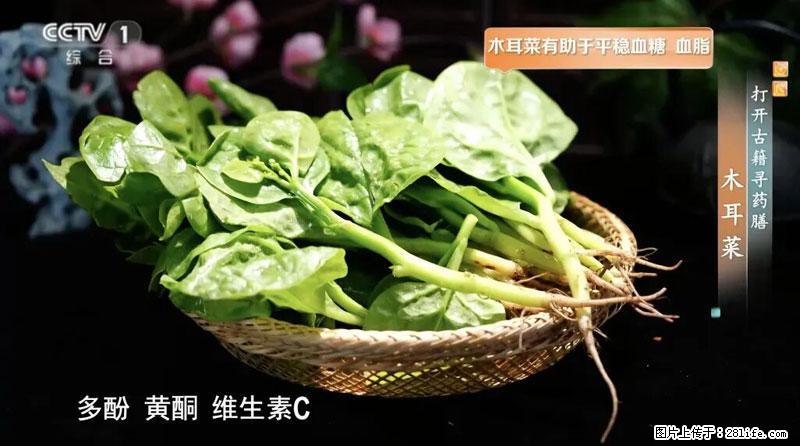 比牛奶补钙还厉害！凉血解毒、稳血糖...这菜冬天必吃，很多人却当草 - 临夏生活资讯 - 临夏28生活网 linxia.28life.net