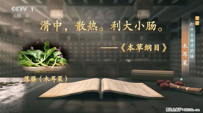 比牛奶补钙还厉害！凉血解毒、稳血糖...这菜冬天必吃，很多人却当草 - 临夏生活资讯 - 临夏28生活网 linxia.28life.net
