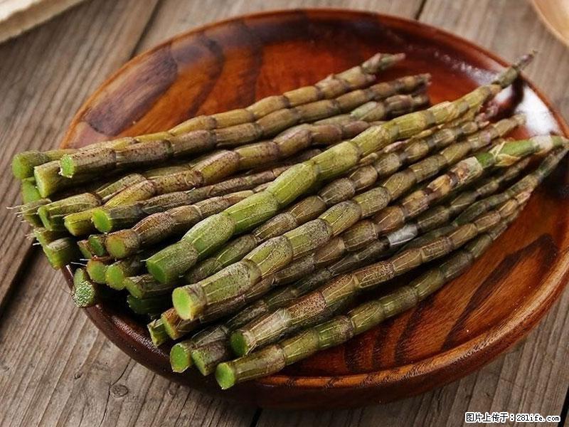 铁皮石斛的作用与功能主治 - 临夏生活资讯 - 临夏28生活网 linxia.28life.net